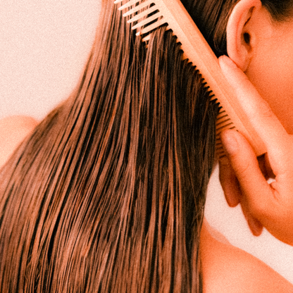 ZOILA | Experience