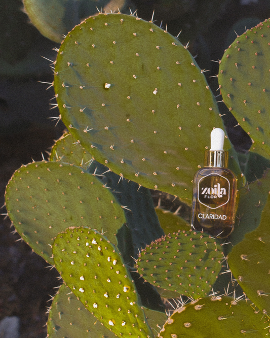 PRESALE * CLARIDAD - Clarifying Botanical Scalp Oil